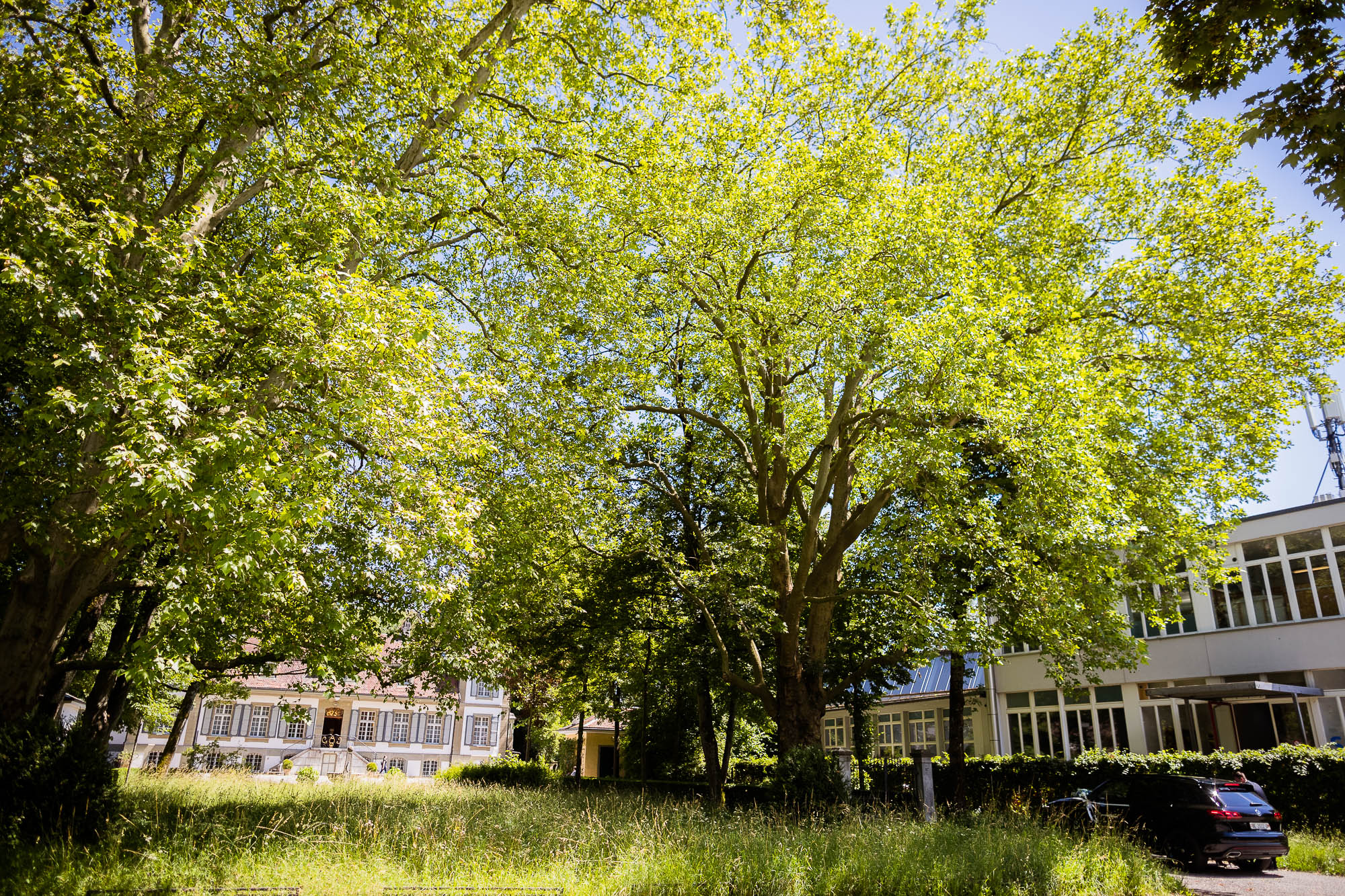 Export x3 1DX27933 Hochzeit 2020 Claudia & Marco